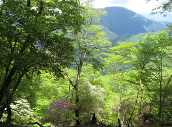 大室山方面