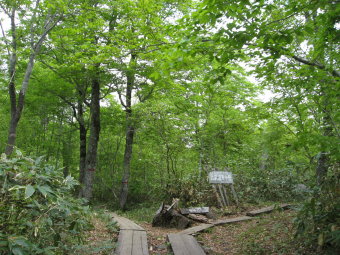 段吉新道