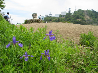 三ツ峠山　展望広場