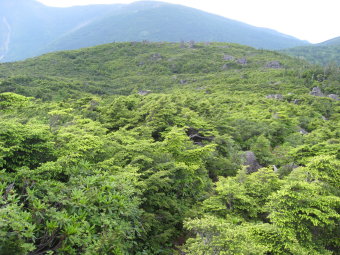 緩やかになった岩