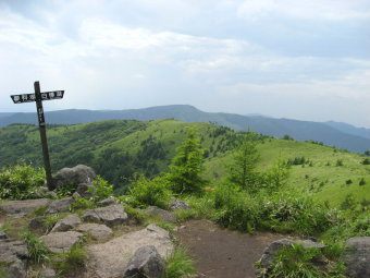 東峰の西隣のピークでした