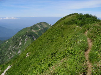 大日岳へ