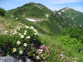 中大日岳と大日岳