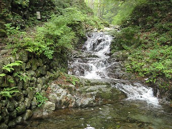 三頭沢