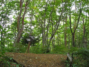 足和田山・毛無山