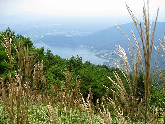 毛無山の草地斜面