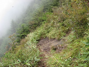 急な山肌