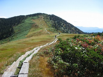 駒ヶ岳へ