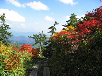 木道の紅葉