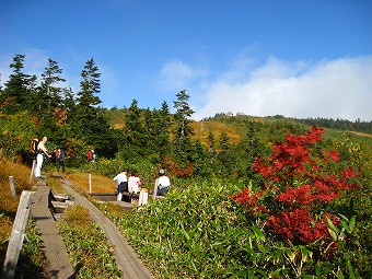 木道ベンチ