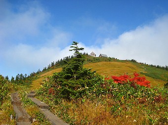 駒ノ小屋へ