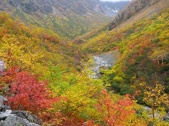 横尾本谷