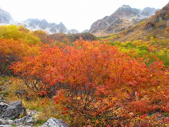 涸沢槍と北穂高岳