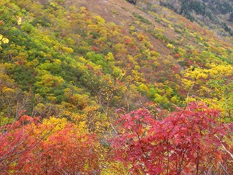 山肌の紅葉