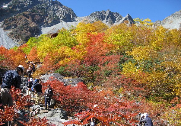 涸沢の紅葉