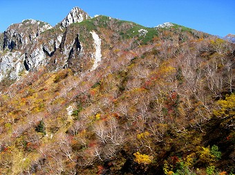 屏風の頭