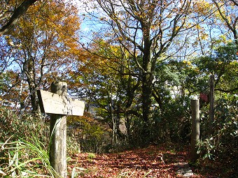 大界木山