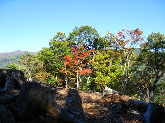 秋葉山山頂