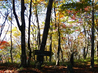 鳥ノ胸山の北端