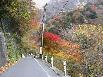 日原鍾乳洞への道