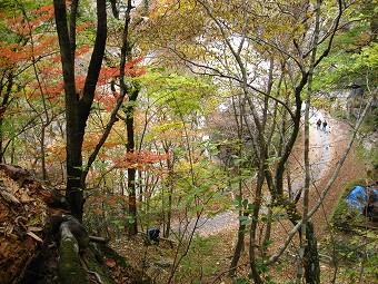 小川谷林道