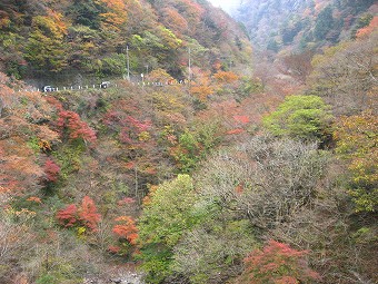 小川谷橋の紅葉