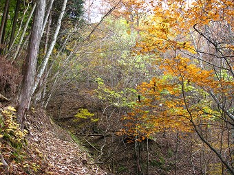 木橋