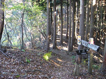 土山峠分岐