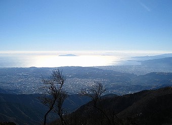 相模湾