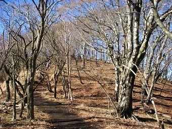 鍋割山稜