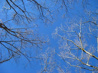 冬の青空