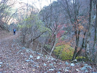 西山林道