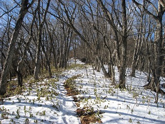 陽だまり道