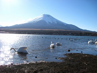 山中湖