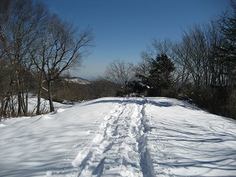 日陰名栗峰