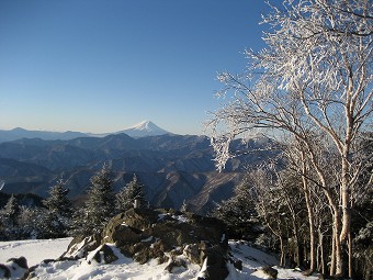 富士山と霧氷