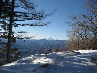 ヨモギノ頭から