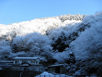 鎌沢　霧氷