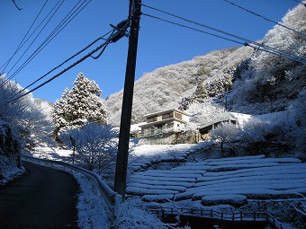 雪景色