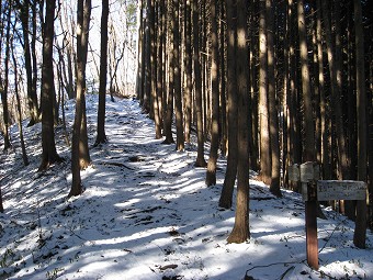 関場バス停分岐