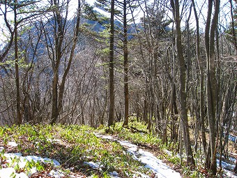 鬼ヶ岳へ