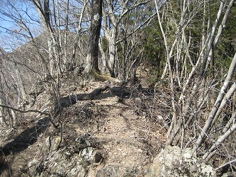 つつじ新道