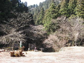 小下沢風景林