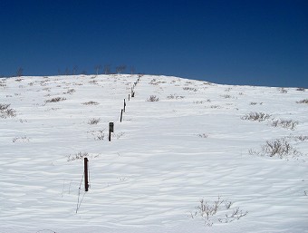 殿城山分岐へ