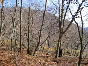 権現山へ