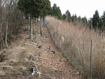 東峰から