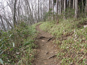 鍋割山へ