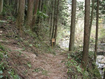 鉄五郎新道は左上へ