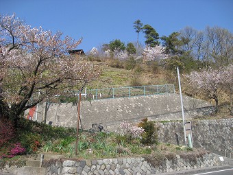 五所神社