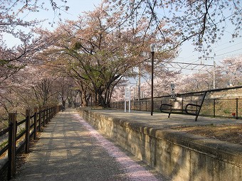 旧勝沼ぶどう郷駅ホーム